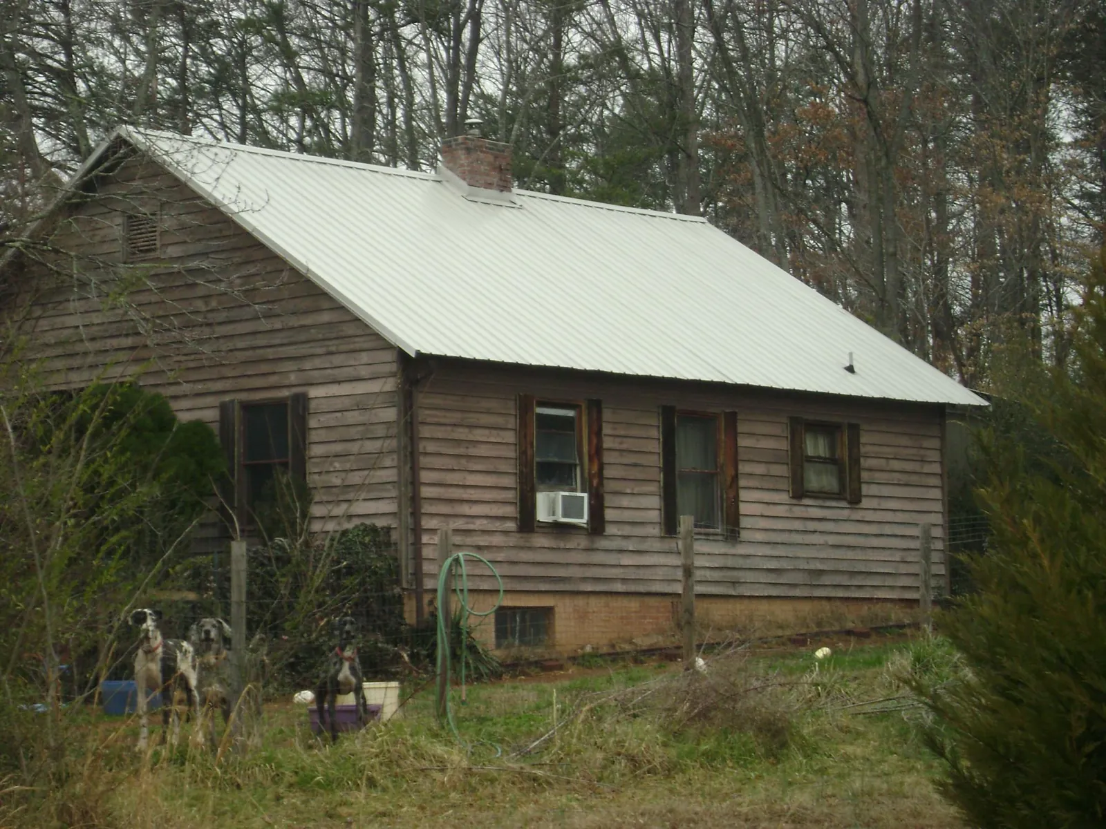 White metal roof on an old wood sided farmhouse, from a Asphalt Shingle Roof Repair job in White Hall